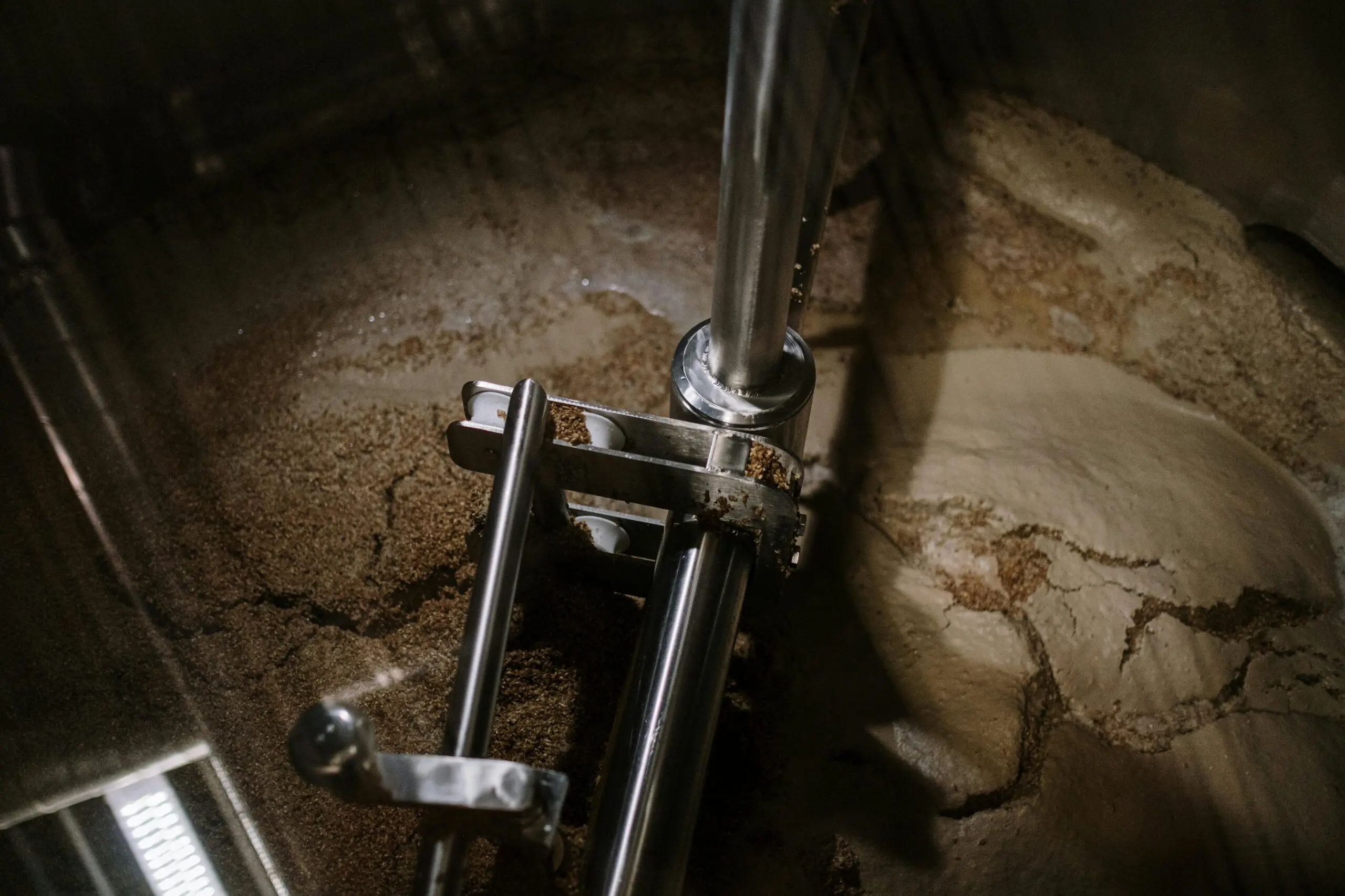 From Ingredient to Experience: What Makes a Premium Cookie?